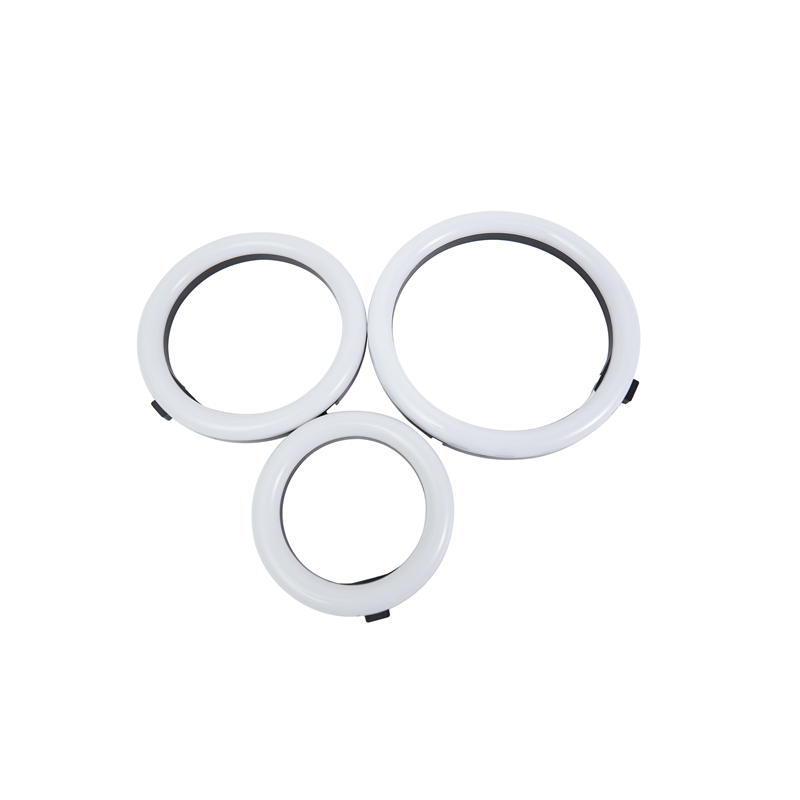 6 8 10 inch Conference Volgging Kit LED Ring Light With Stand For Laptops